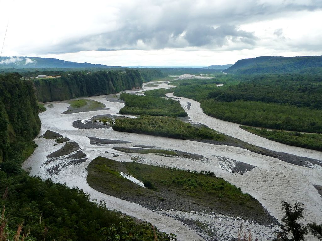 Amazon Rainforest extension